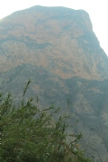 N973695