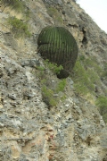 N973699