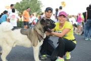 A997482