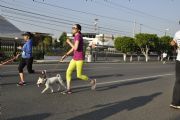 2KM Y 5KM