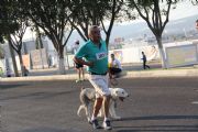 Q997926