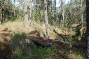 E1008039