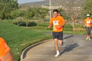 Q994161
