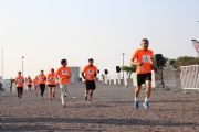 D991516