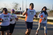 E989916