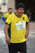 T1036027