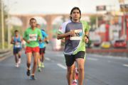 B1054264