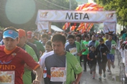 X1048462