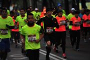 K1029331