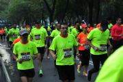 O1029646