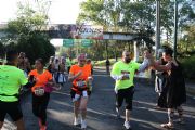 V1017819