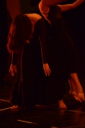 Festival Anual de Ballet