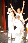 L1063132