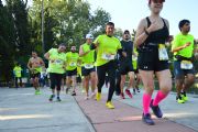 O1105412