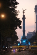 A1098528