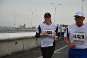 L1124244