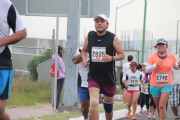 G1133323