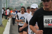 H1131448