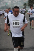 U1131923