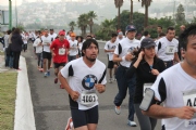 V1132258