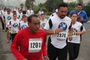 W1133284