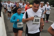W1133544