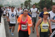 W1133554