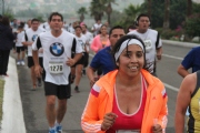 W1133558