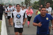 W1133562