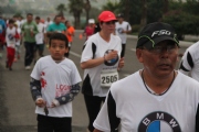 W1133695