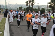 X1131664