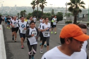 X1131809