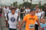 X1133286