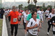 X1133537
