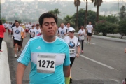 Y1132495