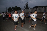 T1135304