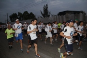 T1135330