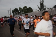 Y1135449
