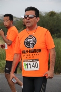 L1196162