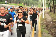 Y1160953