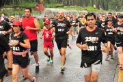 Y1163183