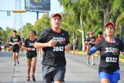 P1175294