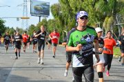 S1175301