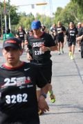 Q1155868