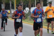 T1191386