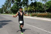 Q1253728