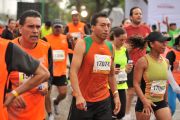 O1215253