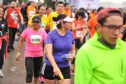 S1215304