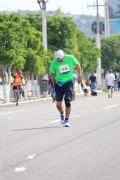 O1204661