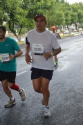 T1233041